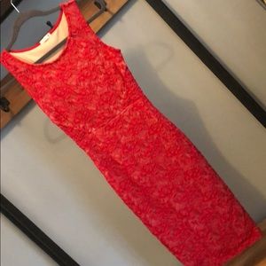 Form fitting red lace dress